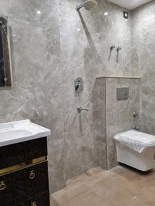 Common Bathroom Image of 600 Sq.ft 2 BHK Apartment / Flat for sale in Dream Ultra Luxury by Dream Home Buildtech, Mahavir Enclave New Delhi for Rs. 5500003