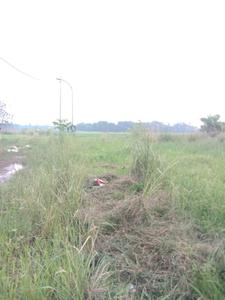 Image of 1180 Sq.ft Residential Plot / Land for sale in Sankharipota, Raypur for Rs. 550000