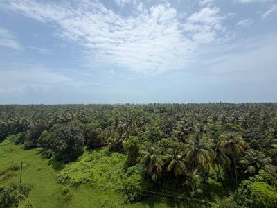 Image of 650 Sq.ft 1 BHK Apartment / Flat for sale in Malvan, Sindhudurg for Rs. 3200000
