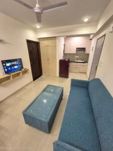 Hall Image of 560 Sq.ft 1 RK Apartment / Flat for rent in Okay Plus Venus, Karolan Ka Barh Jaipur for Rs. 19000