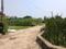 Sonargaon 2 Plot View 1