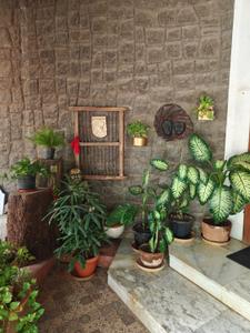 Balcony Image of 4970 Sq.ft 4 BHK Duplex for sale in Jubilee Hills Hyderabad for Rs. 197700000