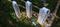 Emaar Digi Homes Main Image 1