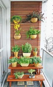 Balcony Image of 2050 Sq.ft 4 BHK Builder Floor for sale in Sector 49 Noida for Rs. 8600000