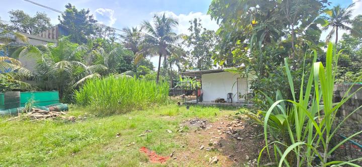 Vazhakkala, Kakkanad Main Image 1