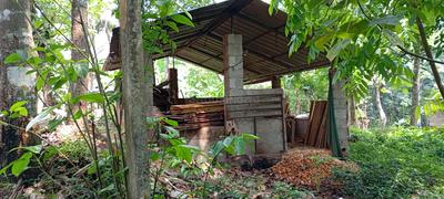 Image of 1100 Sq.ft 2 BHK Independent House for sale in Karette, Thiruvananthapuram for Rs. 1900000