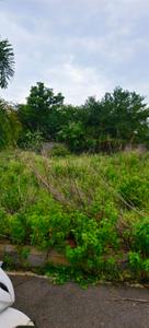 Image of 6840 Sq.ft Residential Plot / Land for sale in Shamshabad, Hyderabad for Rs. 36400000