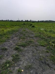 Wander Valley Internal Roads 1