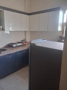 Kitchen Image of 960 Sq.ft 1 BHK Independent House for rent in Model Town Panipat for Rs. 11550