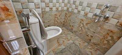 Bathroom Image of 900 Sq.ft 2 BHK Apartment / Flat for rent in Horamavu Bengaluru for Rs. 29100