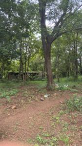Image of 696960 Sq.ft Residential Plot / Land for sale in Murbad, Thane for Rs. 352000000