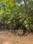 Gokuldham Plot View 2