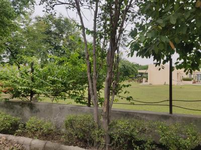 Image of 120 Sq.ft Residential Plot / Land for sale in Delta II, Greater Noida for Rs. 24000000