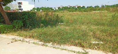 Image of 1350 Sq.ft Residential Plot / Land for sale in Omaxe Phase 3 Mullanpur, New Chandigarh, Chandigarh for Rs. 22500000