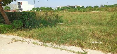 Image of 2520 Sq.ft Residential Plot / Land for sale in Slamatpur, Chandigarh for Rs. 33600000