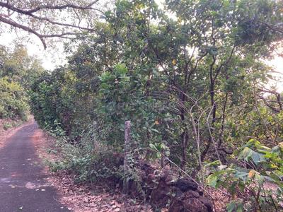 Image of 99000 Sq.ft Residential Plot / Land for sale in Khed, Chiplun for Rs. 10000000
