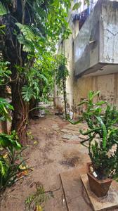 Image of 442 Sq.ft Residential Plot / Land for sale in Ambawadi, Ahmedabad for Rs. 66300000