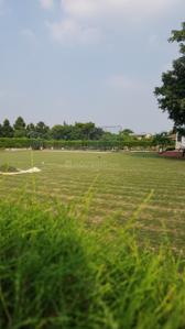 Image of 9072 Sq.ft Residential Plot / Land for sale in Dkrrish Green Beauty Farms, Sector 135, Noida for Rs. 8000000