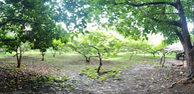 Image of 71041 Sq.ft Residential Plot / Land for sale in Kodiyat, Udaipur for Rs. 190000000