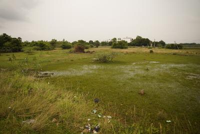 Image of 3478 Sq.ft Residential Plot / Land for sale in Kachipuram Town, Kanchipuram for Rs. 4500000