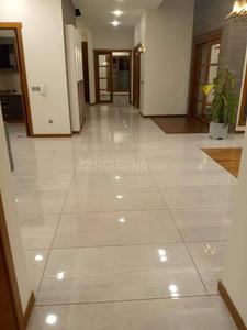 Hall Image of 1550 Sq.ft 3 BHK Apartment / Flat for rent in Central Tower, Bilandpur Gorakhpur for Rs. 19000