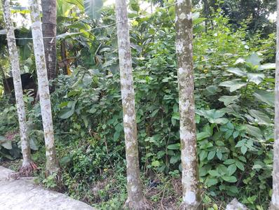 Image of 1082 Sq.ft Residential Plot / Land for sale in Uluberia, Howrah for Rs. 700000