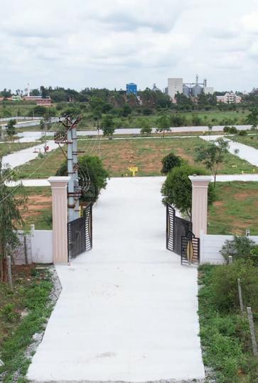 THALLY ROAD Main Image 1