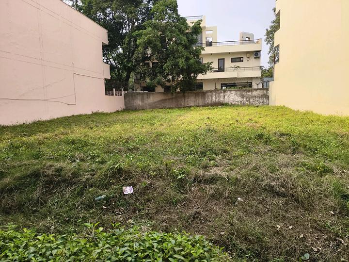 Block C, Sushant Lok Phase 1 Main Image 1