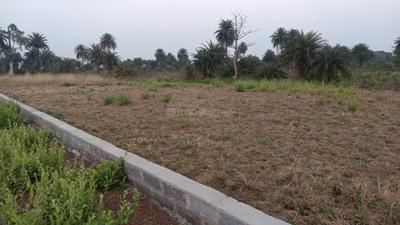 Image of 1000 Sq.ft Residential Plot / Land for sale in Naya Raipur, Raipur for Rs. 380000