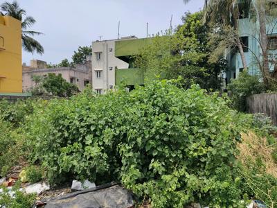 Residential Plot