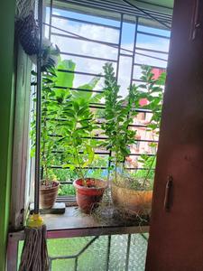 Balcony Image of 950 Sq.ft 3 BHK Apartment / Flat for sale in Haltu Kolkata for Rs. 4000000