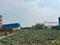 Sampatchak Plot View 2
