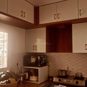 Kitchen Image of 680 Sq.ft 2 BHK Apartment / Flat for sale in Katara Hills Bhopal for Rs. 2600000
