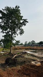 Image of 1000 Sq.ft Residential Plot / Land for sale in Swastik Foresta, Old Dhamtari Road, Raipur for Rs. 1790000