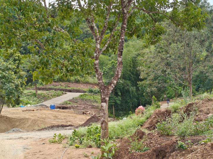 Varahanadu Main Image 1