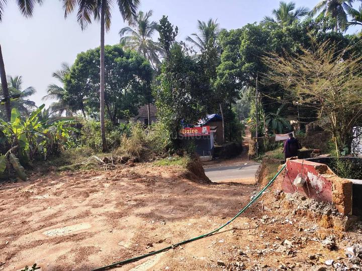 Panniyannur Main Image 1