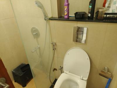 Bathroom Image of 550 Sq.ft 1 RK Apartment / Flat for rent in L And T Raintree Boulevard, Sahakara Nagar Bengaluru for Rs. 47000