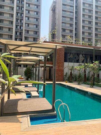 Orchid Blues Main Image 1