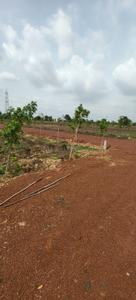 Image of 10000 Sq.ft Residential Plot / Land for sale in Amleshwar, Raipur for Rs. 7210001