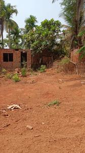 Image of 500 Sq.ft Residential Plot / Land for sale in Chorao, Goa for Rs. 11500000