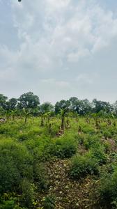 Image of 5000 Sq.ft Residential Plot / Land for sale in Kapasda, Durg for Rs. 2875000