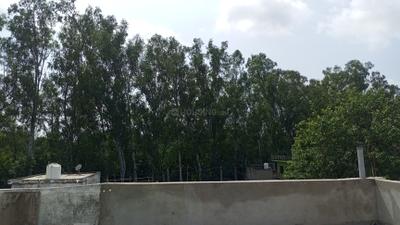 Image of 150 Sq.ft 3 BHK Independent House for rent in Refinery Nagar, Mathura for Rs. 11000