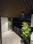 Bedroom Image of SukhVasa Luxurious PG.. in Sector 72, Gurgaon