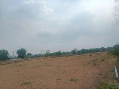 MSR PROPERTIES Plot View 2