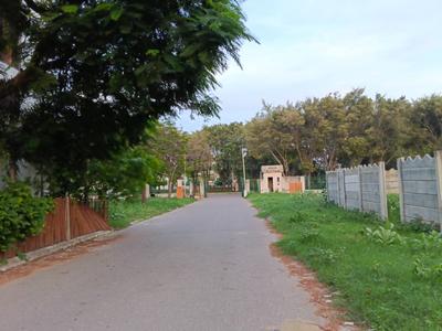 Pocket 3 Plot View 3