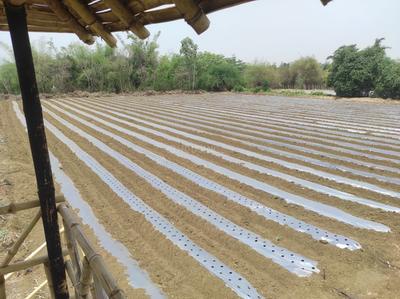Image of 5000 Sq.ft Residential Plot / Land for sale in Tatibandh, Raipur for Rs. 3375000