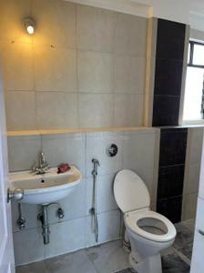 Bathroom Image of 1000 Sq.ft 2 BHK Apartment / Flat for rent in Buena Vista, Viman Nagar Pune for Rs. 44000