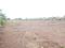 Perne Plot View 2