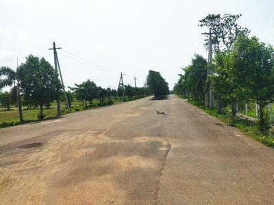 Kothavalasa Plot View 3