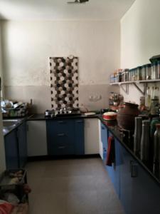 Kitchen Image of 2200 Sq.ft 3 BHK Builder Floor for rent in Palam Vihar Gurgaon for Rs. 35000
